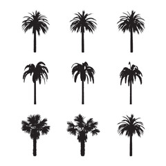 Black palm trees set isolated on white background. Palm silhouettes. Design of palm trees for posters, banners and promotional items. Vector illustration.