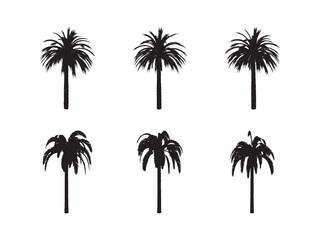 Fototapeta na wymiar Black palm trees set isolated on white background. Palm silhouettes. Design of palm trees for posters, banners and promotional items. Vector illustration.