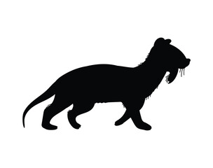 Black silhouette of thylacosmilus or tilakosmil animal, vector illustration isolated on white background.