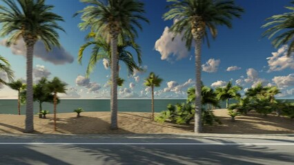 View from the side window of the car, driving on the asphalt road along the palm beach