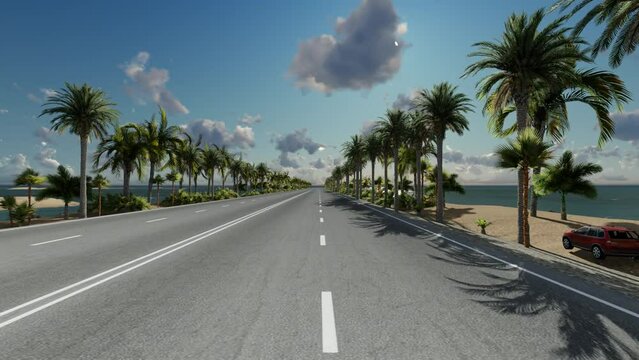 View from the front window of the car, driving forward on the asphalt road along the palm beach