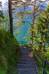 Fototapeta premium Scenic view of mountain panorama with Lake Lucerne in the foreground seen from famous hiking trail Swiss path on a sunny spring day. Photo taken May 22nd, 2023, Sisikon, Canton Uri, Switzerland.