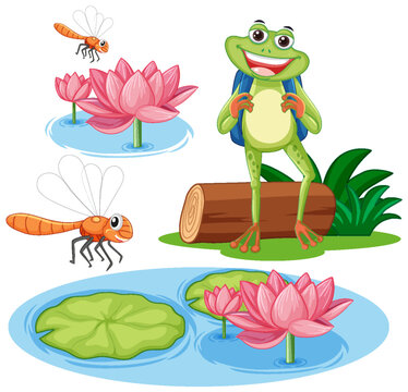Frog and Dragonfly Nature Vector