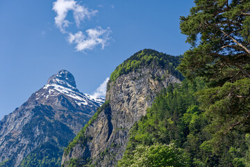 Beautiful mountain panorama with woodland and snow covered peak in the Swiss Alps at lakeshore of Lake Lucerne on a sunny spring morning. Photo taken May 22nd, 2023, Sisikon, Switzerland.