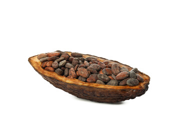 PNG, ingredient for making chocolate - cocoa, isolated on white background