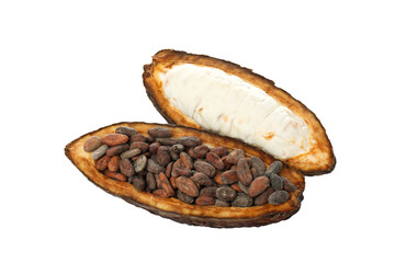 PNG, ingredient for making chocolate - cocoa, isolated on white background