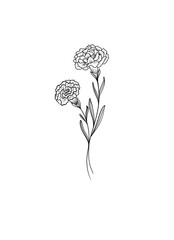 Minimalist floral design, Carnation in black and white 