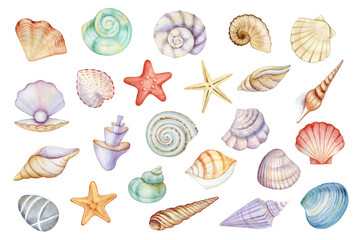Watercolor watercolor shells and starfish hand painted set. Underwater floral illustration isolated on white background.