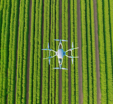 Smart farm. drones spraying field of agricultural crops. drones equipped with cameras and sensors are used to capture aerial imagery on smart farm. AI generated Generative AI