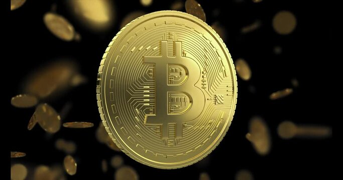 Golden bitcoin rotation seamless loop animation with background full of bitcoins.