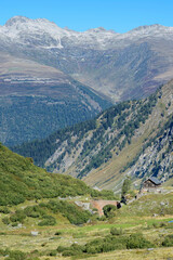 Fototapeta na wymiar View into alpine valley with old bridge and chalet, Nufenenpass, Switzerland.