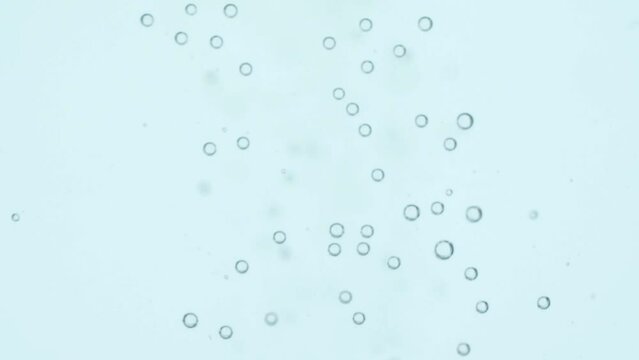 Top view closeup scene on small bubble joint together to be a bigger and break isolated on white background, fizz texture of soda water drink when gas release, low surface tension condition