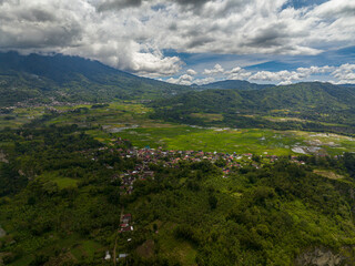 Obraz premium Farmland with growing crops of rice, vegetables in a mountain valley. Sumatra. Indonesia.