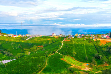 Naklejka premium Scenery on hillside of tea planted beautiful valley in misty highlands below and giant wind turbines, peaceful hillside residential area