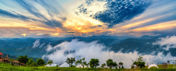Scenery dawn on hillside of tea planted in misty highlands Da Lat, below beautiful valley, this place has the coolest temperate climate in Vietnam