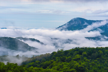 Sea fog on a mountain in the morning. Waves of clouds in the background peaks covered with pine forest and organic vegetable farm providing local food