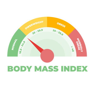 BMI or Body Mass Index meter. Vector illustration.