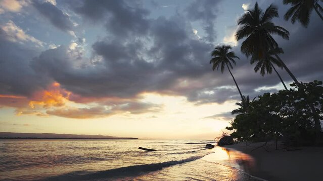Colorful ocean beach at sunset with deep blue sky and sunlight. Tropical sea sunset. Luxurious resort. Dark silhouettes of palm trees. Fresh freedom. Adventure Day. Snorkeling. Coconut heaven.