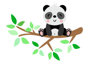 Funny panda on branch of tree with green leaves