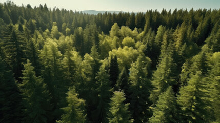 Greenery nature forest landscape from bird's eye view. Made by (AI) artificial intelligence.