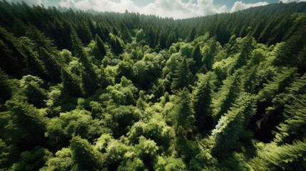 Greenery nature forest landscape from bird's eye view. Made by (AI) artificial intelligence.