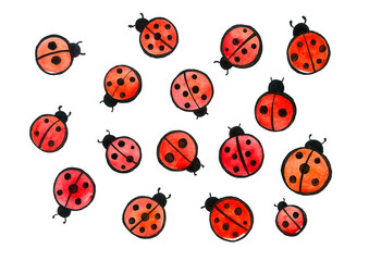 Pattern with insects - ladybug isolated on white background. Insects are red with a black outline and dots. Different sizes and with different number of dots. Watercolor blur, black outlines.