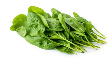 Isolated, vibrant green Spinach on white