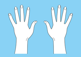 人体 パーツ 白 指 手のひら 背景色あり 線画