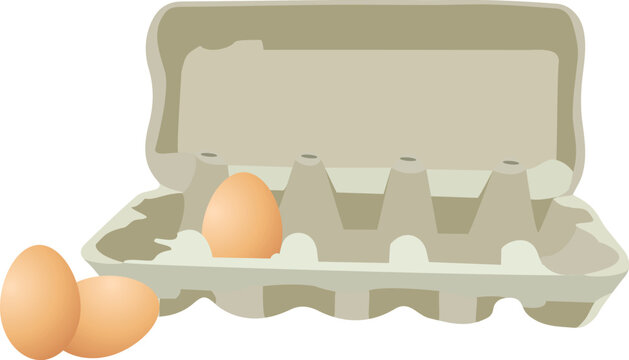 eggs with egg tray in recyclable cato-