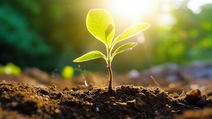 Young Plant Growing In Sunlight. Generative Ai