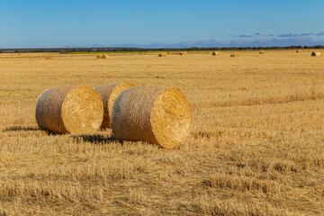 view of a crop field in Spain