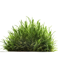 Green grass leaves realistic isolated on Transparent Background, Png Cutout, Generative Ai