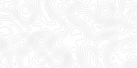 Seamless pattern with lines Topographic map. Geographic mountain relief. Abstract lines background. Contour maps. Vector illustration, Topo contour map on white background, Topographic contour lines.