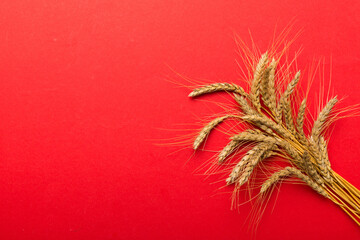 Sheaf of wheat ears close up and seeds on colored background. Natural cereal plant, harvest time...