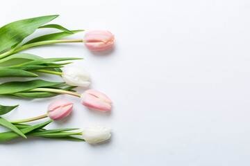 Obraz na płótnie Canvas Pink and white tulips on a colored holiday frame Background. Floral spring background for March 8, birthday, mother's day. copy space top view flat lay