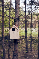 birdhouse on a tree