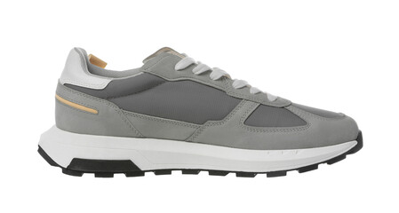 One stylish grey sneaker isolated on white