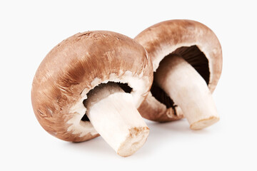 Fresh champignon mushrooms, isolated on white background. . High quality photoFresh champignon mushrooms, isolated on white background. 