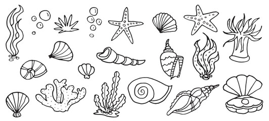 Ocean underwater shell doodle set, tropical  outline sea cartoon icons for vacation textile, isolated on white kit