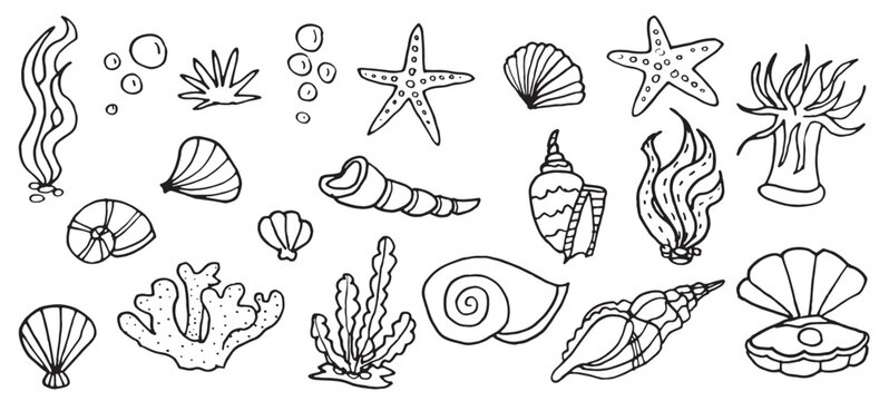 Ocean underwater shell doodle set, tropical  outline sea cartoon icons for vacation textile, isolated on white kit