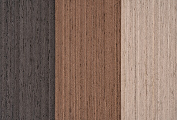 Palette of wood decor samples with different colours and textures. Sample of wood chipboard. Wooden laminate veneer material for interior architecture and construction or furniture finishing 