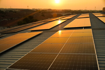 Sunset solar panel electric clean energy to the future. Solar panels on the meadow, sunset reflected on solar panel on rooftop. Green energy concept