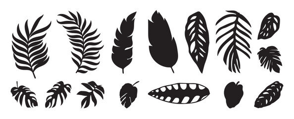 Fototapeta na wymiar Collection of silhouette leaf elements. Set of tropical plants, leaf branch, palm, monstera leaves, foliage. Hand drawn of botanical vectors for decor, website, graphic, decorative.