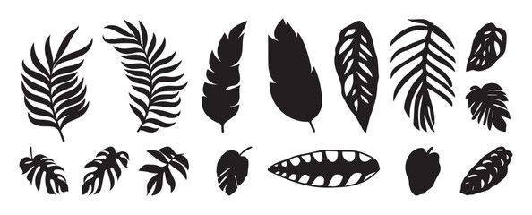 Collection of silhouette leaf elements. Set of tropical plants, leaf branch, palm, monstera leaves, foliage. Hand drawn of botanical vectors for decor, website, graphic, decorative.