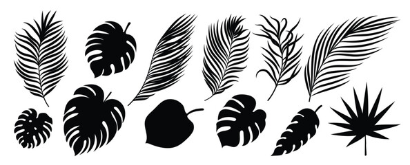 Collection of silhouette leaf elements. Set of tropical plants, leaf branch, palm, monstera leaves, foliage. Hand drawn of botanical vectors for decor, website, graphic, decorative.