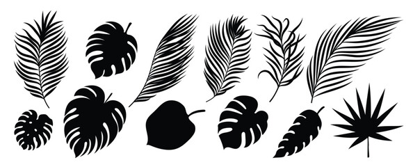 Collection of silhouette leaf elements. Set of tropical plants, leaf branch, palm, monstera leaves, foliage. Hand drawn of botanical vectors for decor, website, graphic, decorative. © TWINS DESIGN STUDIO