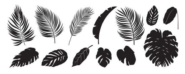 Collection of silhouette leaf elements. Set of tropical plants, leaf branch, palm, monstera leaves, foliage. Hand drawn of botanical vectors for decor, website, graphic, decorative. © TWINS DESIGN STUDIO