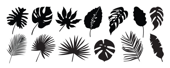 Collection of silhouette leaf elements. Set of tropical plants, leaf branch, palm, monstera leaves, foliage. Hand drawn of botanical vectors for decor, website, graphic, decorative.