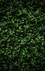 Plant leaf background,created with generative ai tecnology.
