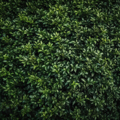 Obraz premium Plant leaf background,created with generative ai tecnology.